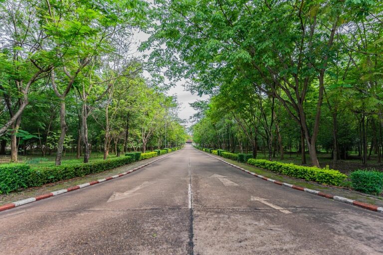 Dengan begitu banyak hal yang ditawarkan, Universitas di Padang merupakan pilihan yang tepat bagi para calon mahasiswa yang ingin mendapatkan pendidikan tinggi berkualitas di Sumatera Barat. Jadi, jangan ragu untuk bergabung dan mengeksplorasi berbagai potensi yang ada di universitas ini!