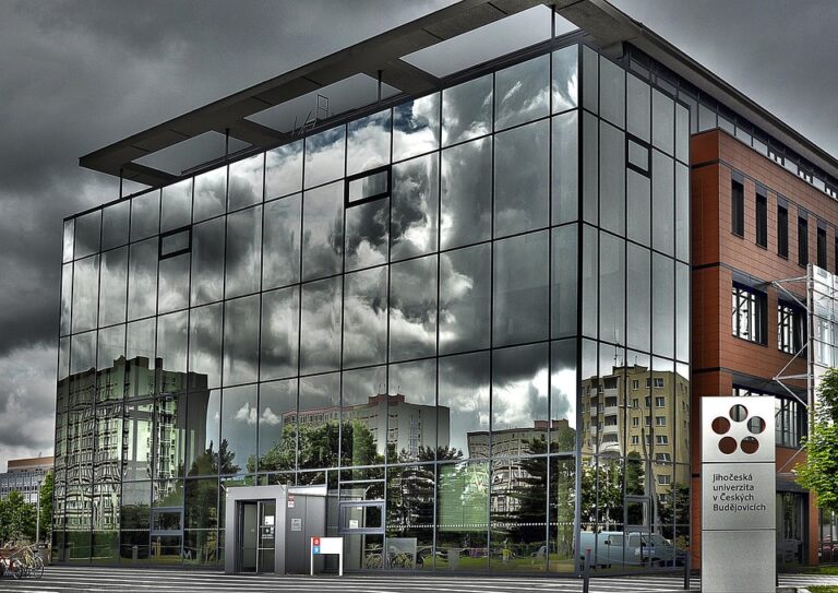 Kegiatan dan Acara Kampus Universitas Diponegoro (UNDIP)